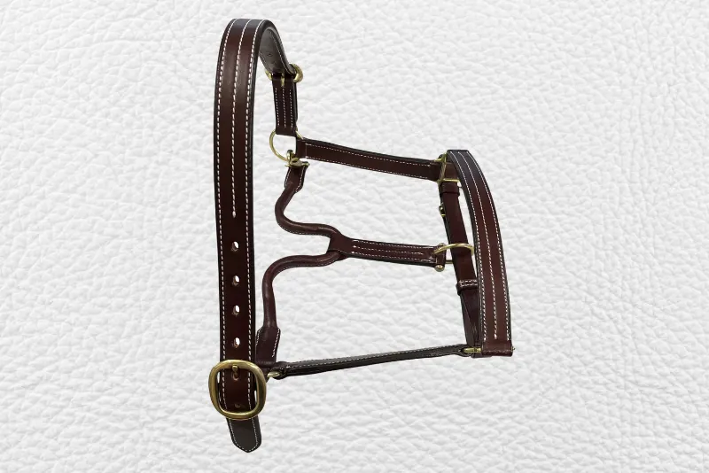 Equestrian halter 1