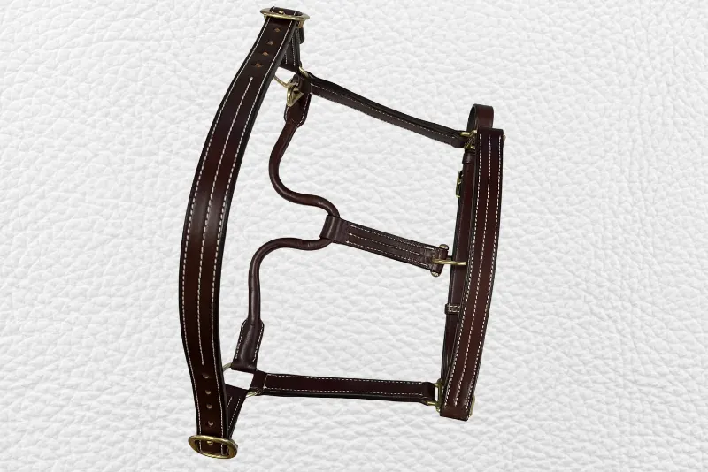 Equestrian halter 2