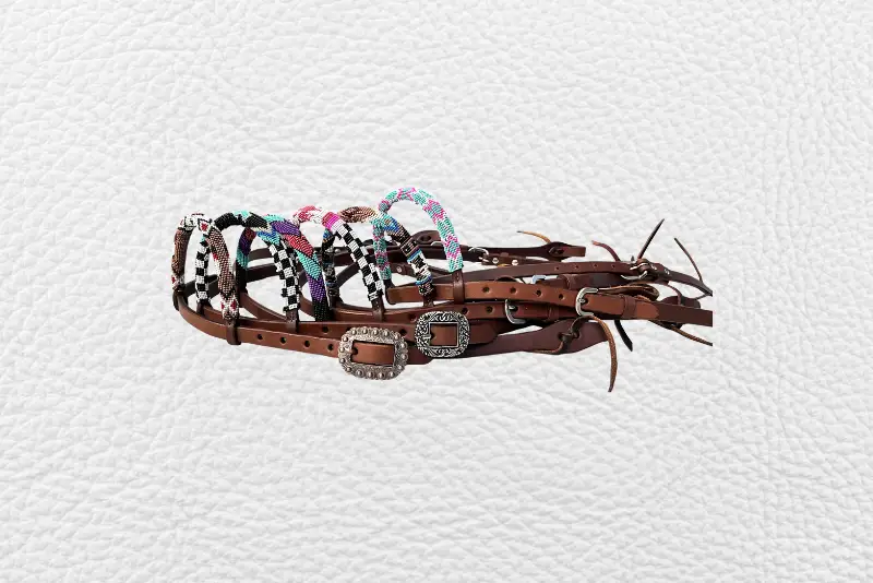 Equestrian headstall 11