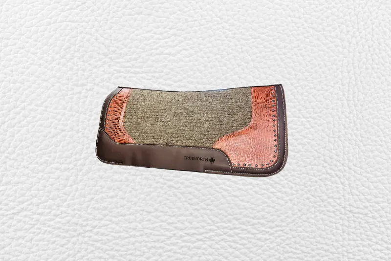 Equestrian saddle pad 3